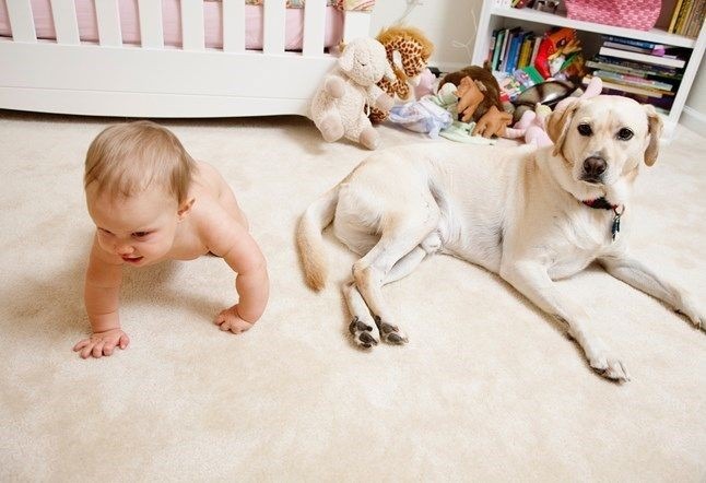 baby laugh