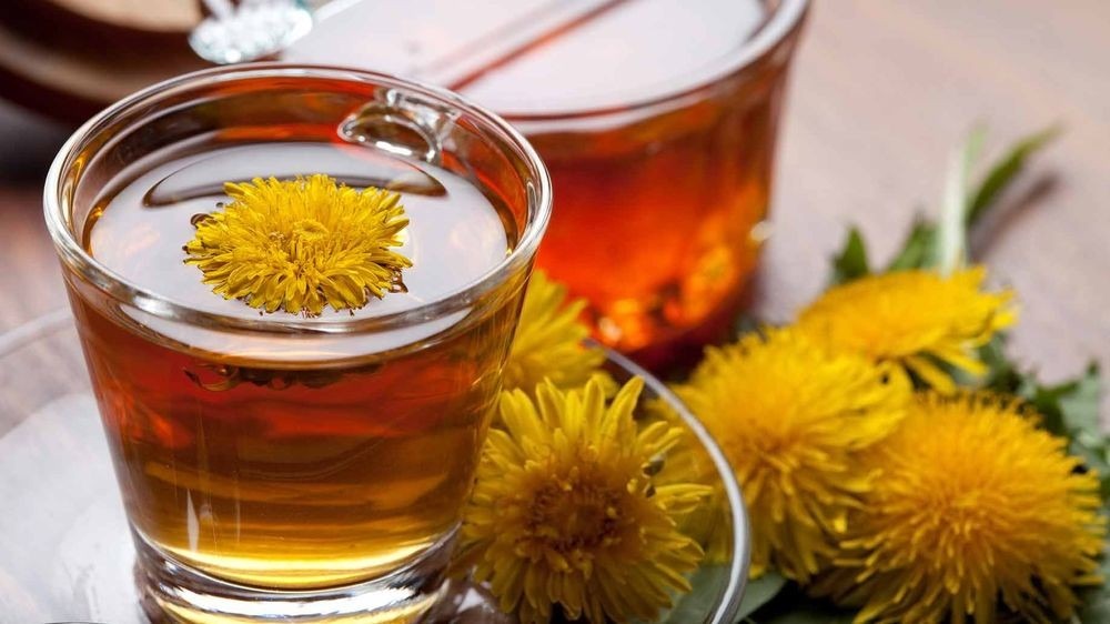 چای گل داودی در بارداری